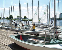 Sailboats at Community Boating on the Charles River in Boston.